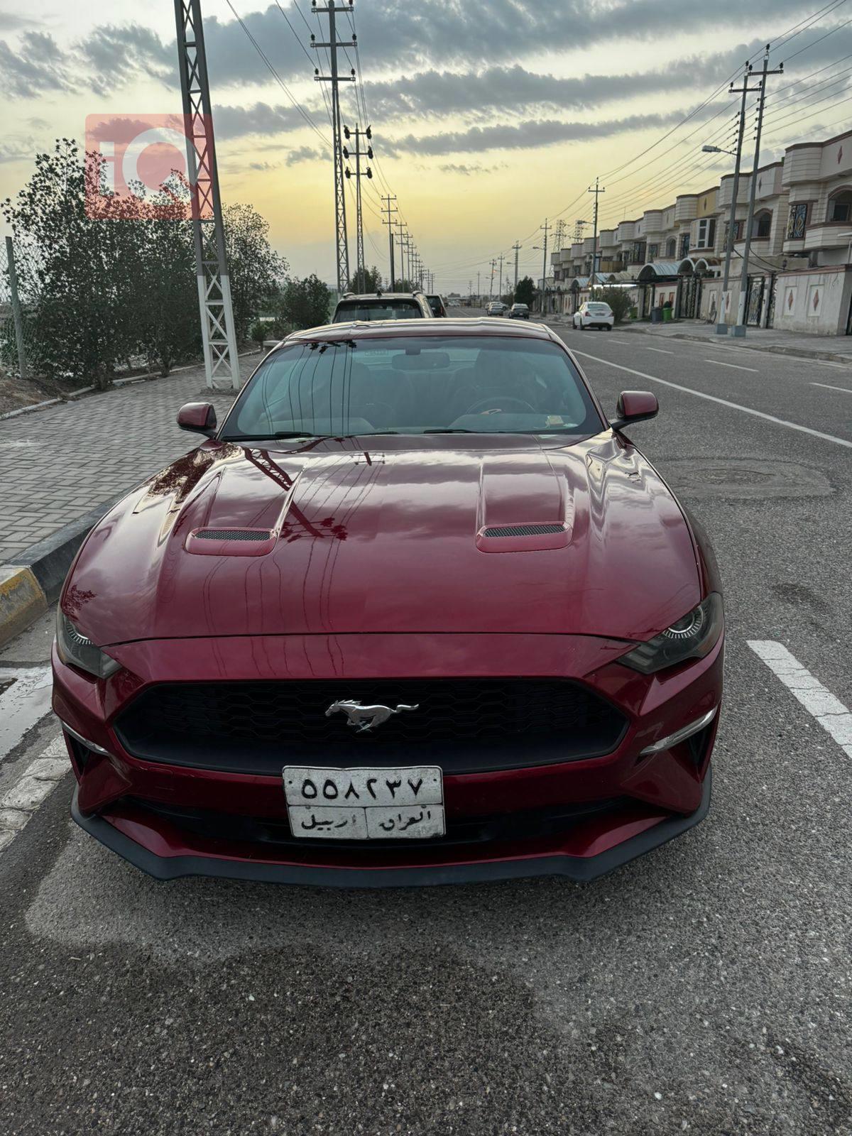 فورد موستانج